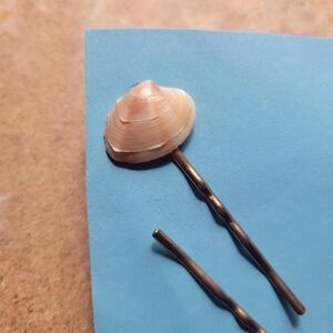 Brass Vintage Seashell Bobby pin barrettes